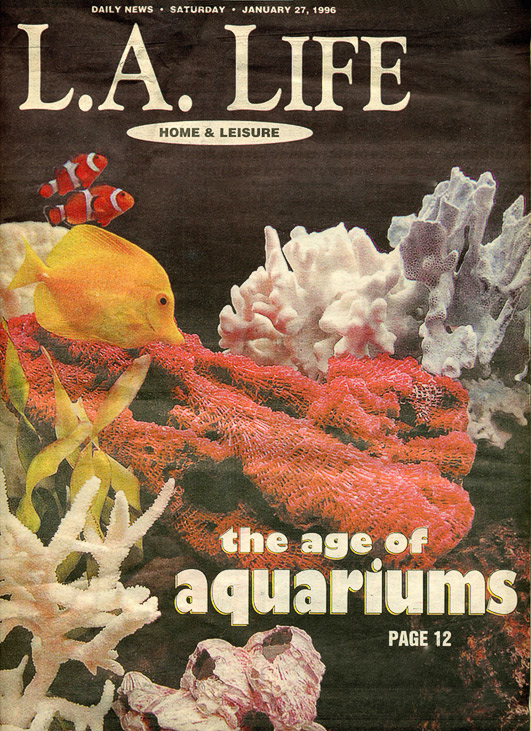 L.A. Life - Age of Aquariums